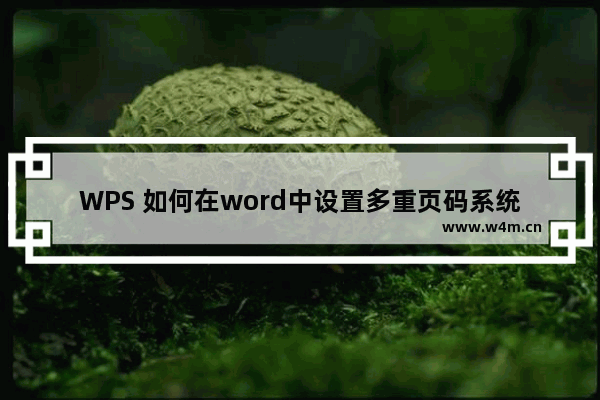 WPS 如何在word中设置多重页码系统