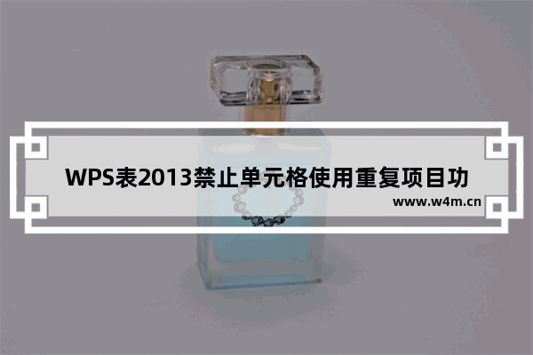 WPS表2013禁止单元格使用重复项目功能输入重复项目