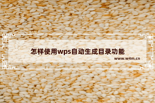 怎样使用wps自动生成目录功能