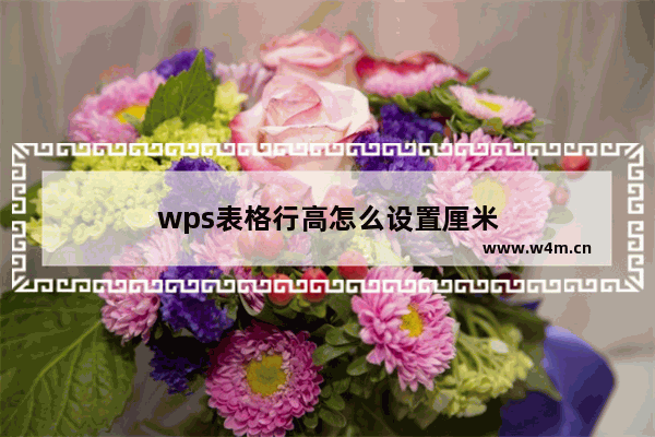 wps表格行高怎么设置厘米