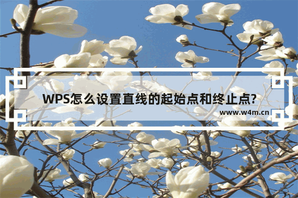 WPS怎么设置直线的起始点和终止点?