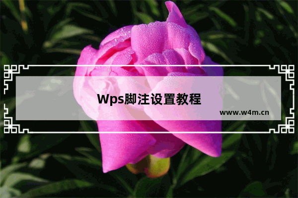 Wps脚注设置教程