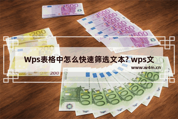 Wps表格中怎么快速筛选文本? wps文本筛选的教程