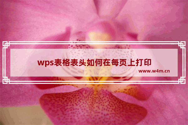 wps表格表头如何在每页上打印