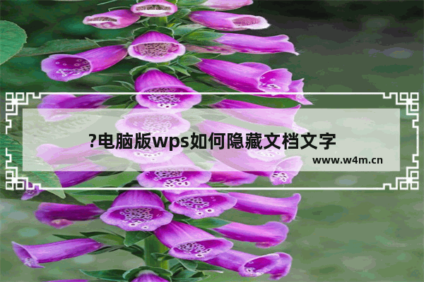 ?电脑版wps如何隐藏文档文字