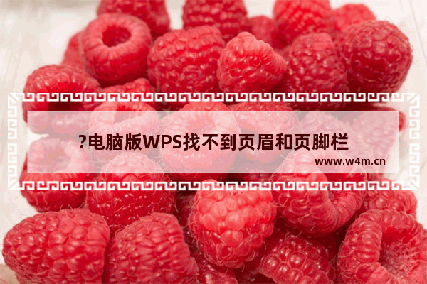 ?电脑版WPS找不到页眉和页脚栏