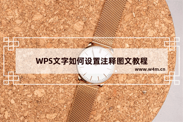 WPS文字如何设置注释图文教程