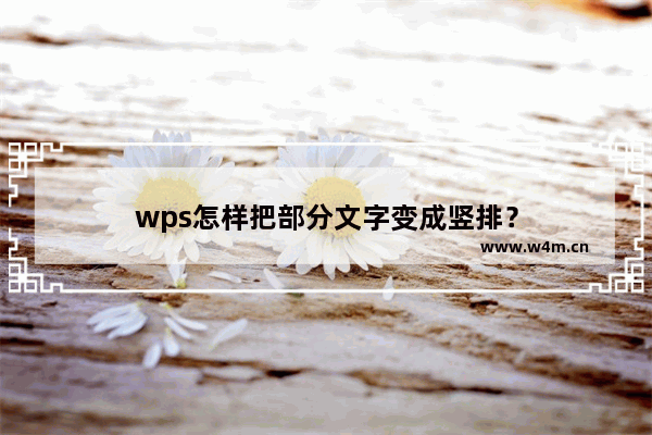 wps怎样把部分文字变成竖排？