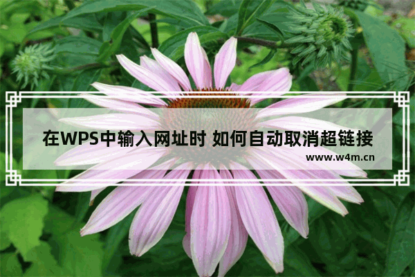 在WPS中输入网址时 如何自动取消超链接的自动转换