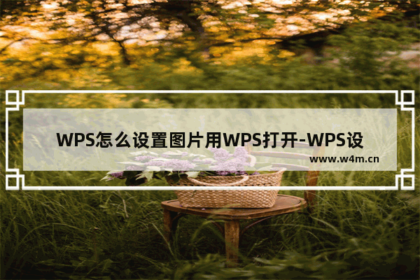 WPS怎么设置图片用WPS打开-WPS设置图片用WPS打开的方法