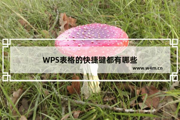 WPS表格的快捷键都有哪些