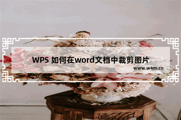 WPS 如何在word文档中裁剪图片