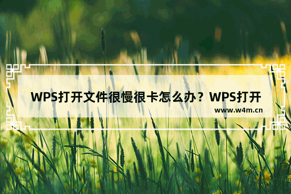 WPS打开文件很慢很卡怎么办？WPS打开文件非常缓慢的解决教程