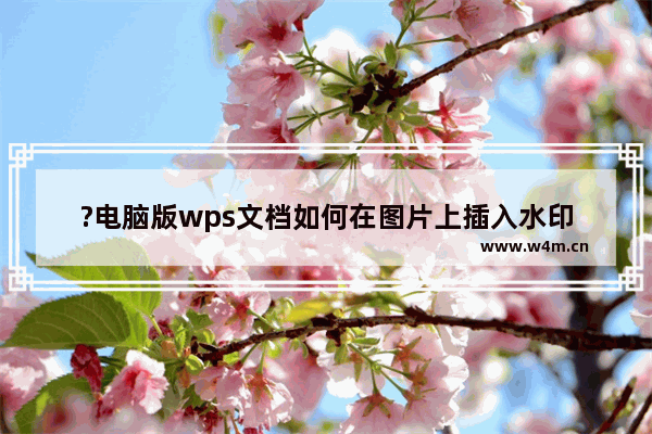 ?电脑版wps文档如何在图片上插入水印