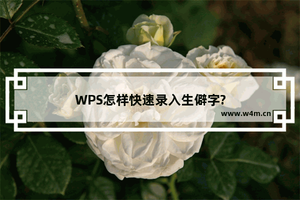 WPS怎样快速录入生僻字?