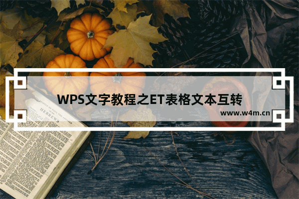 WPS文字教程之ET表格文本互转