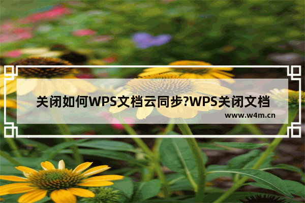 关闭如何WPS文档云同步?WPS关闭文档云同步教程分享