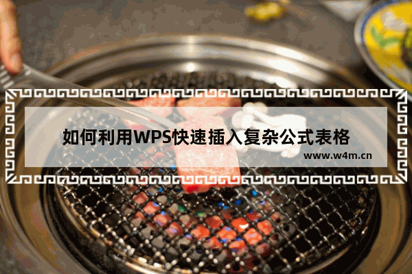 如何利用WPS快速插入复杂公式表格