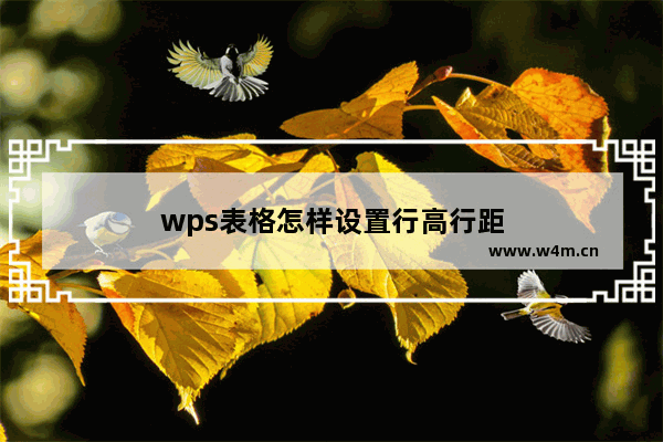 wps表格怎样设置行高行距