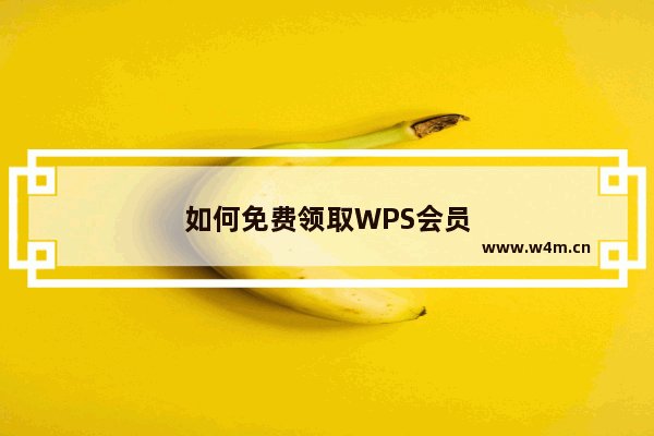 如何免费领取WPS会员