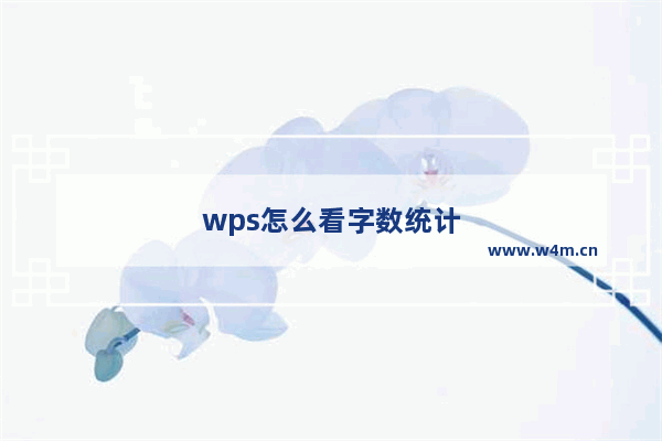 wps怎么看字数统计