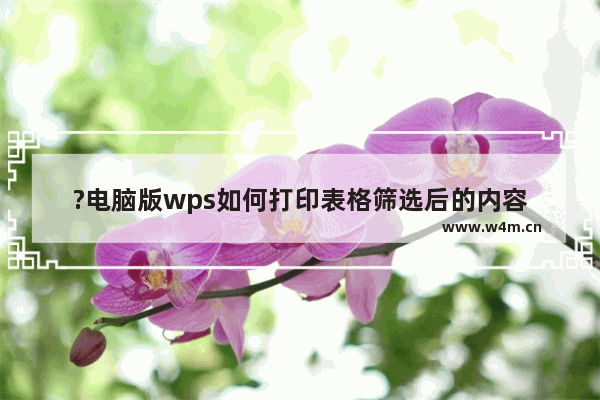 ?电脑版wps如何打印表格筛选后的内容