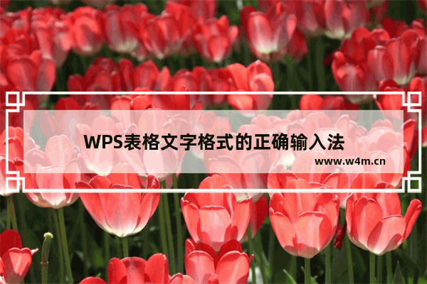 WPS表格文字格式的正确输入法