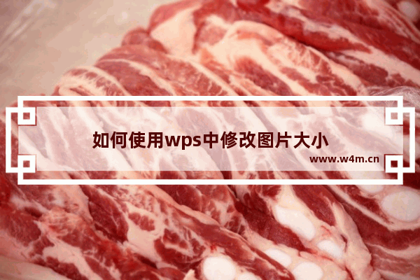 如何使用wps中修改图片大小