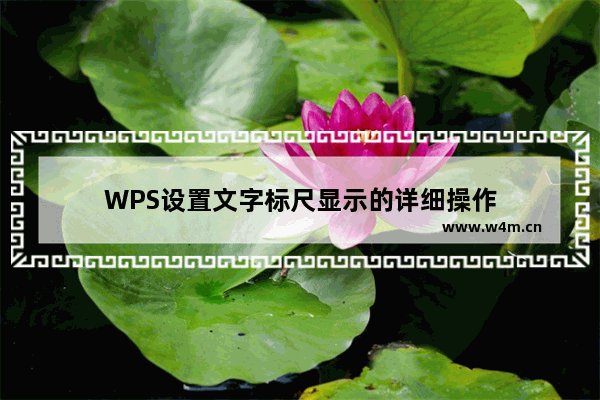 WPS设置文字标尺显示的详细操作