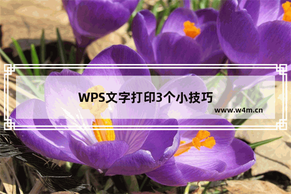 WPS文字打印3个小技巧