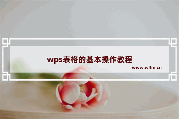 wps表格的基本操作教程