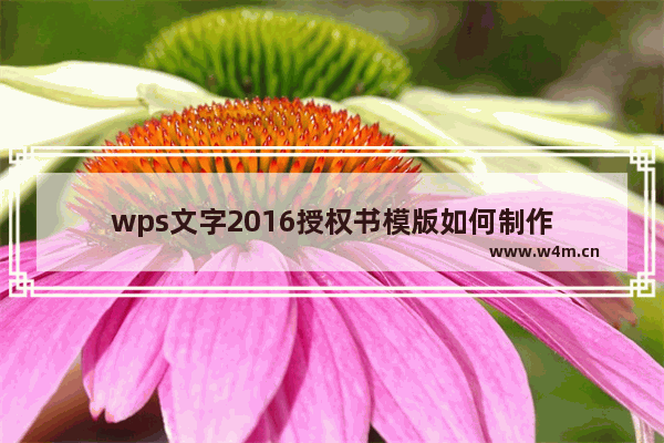 wps文字2016授权书模版如何制作