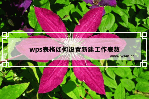 wps表格如何设置新建工作表数