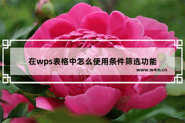 在wps表格中怎么使用条件筛选功能