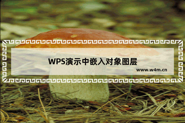 WPS演示中嵌入对象图层