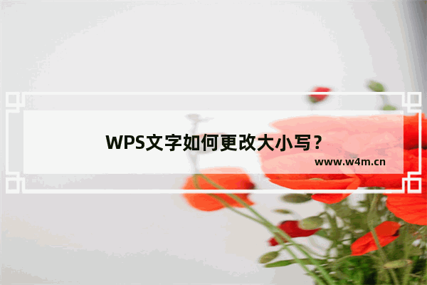 WPS文字如何更改大小写？