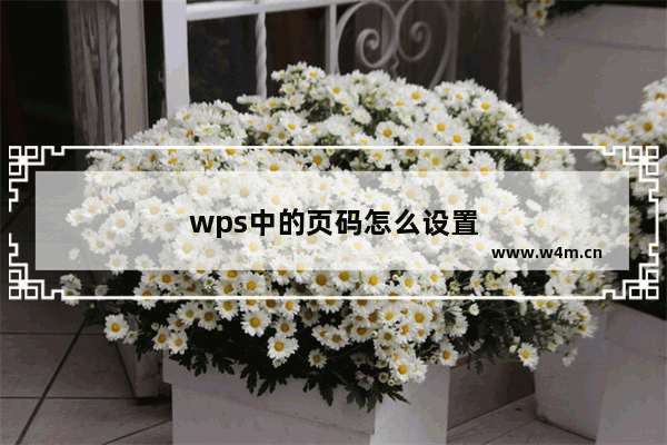 wps中的页码怎么设置