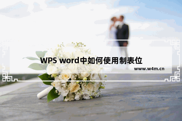 WPS word中如何使用制表位