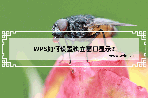 WPS如何设置独立窗口显示？