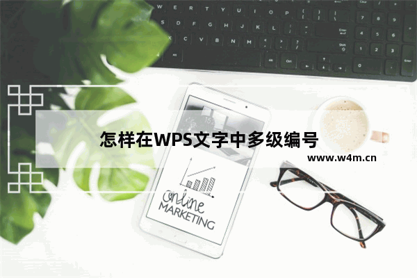 怎样在WPS文字中多级编号