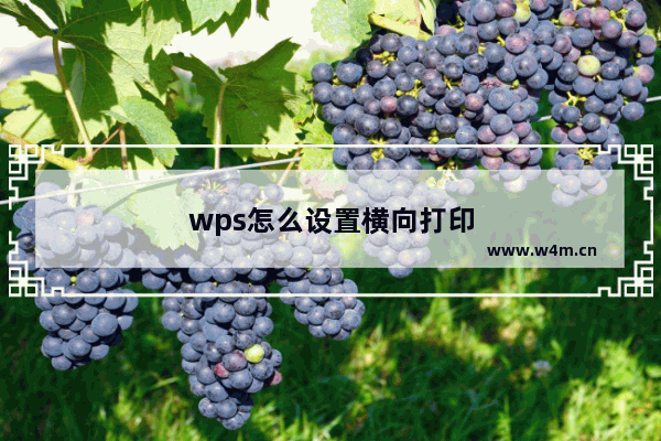 wps怎么设置横向打印