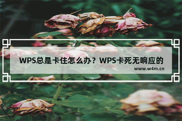 WPS总是卡住怎么办？WPS卡死无响应的解决方法