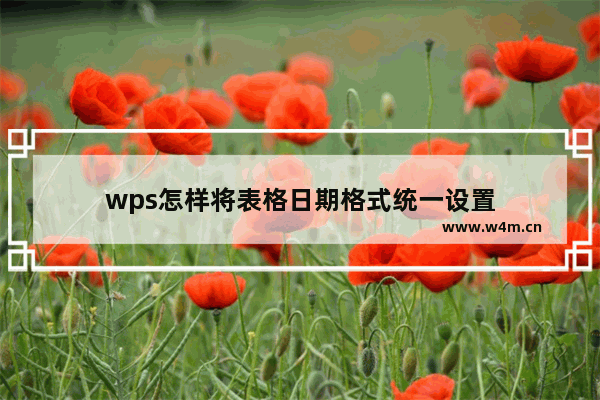 wps怎样将表格日期格式统一设置