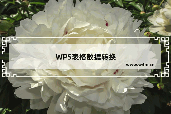 WPS表格数据转换