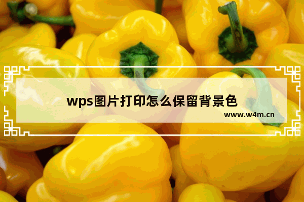 wps图片打印怎么保留背景色