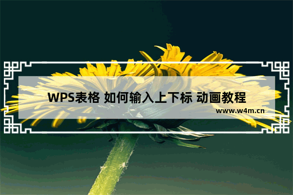 WPS表格 如何输入上下标 动画教程