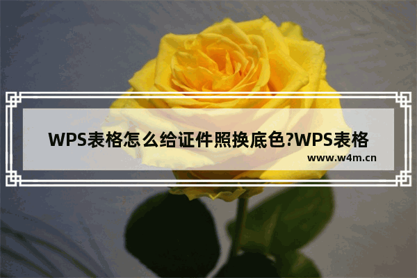 WPS表格怎么给证件照换底色?WPS表格给证件照换底色的方法