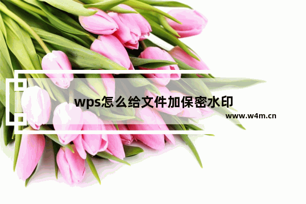 wps怎么给文件加保密水印