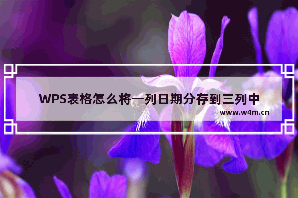 WPS表格怎么将一列日期分存到三列中