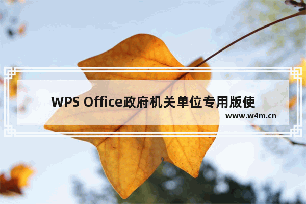 WPS Office政府机关单位专用版使用基础教程